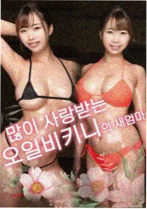 苏菲与哈尔